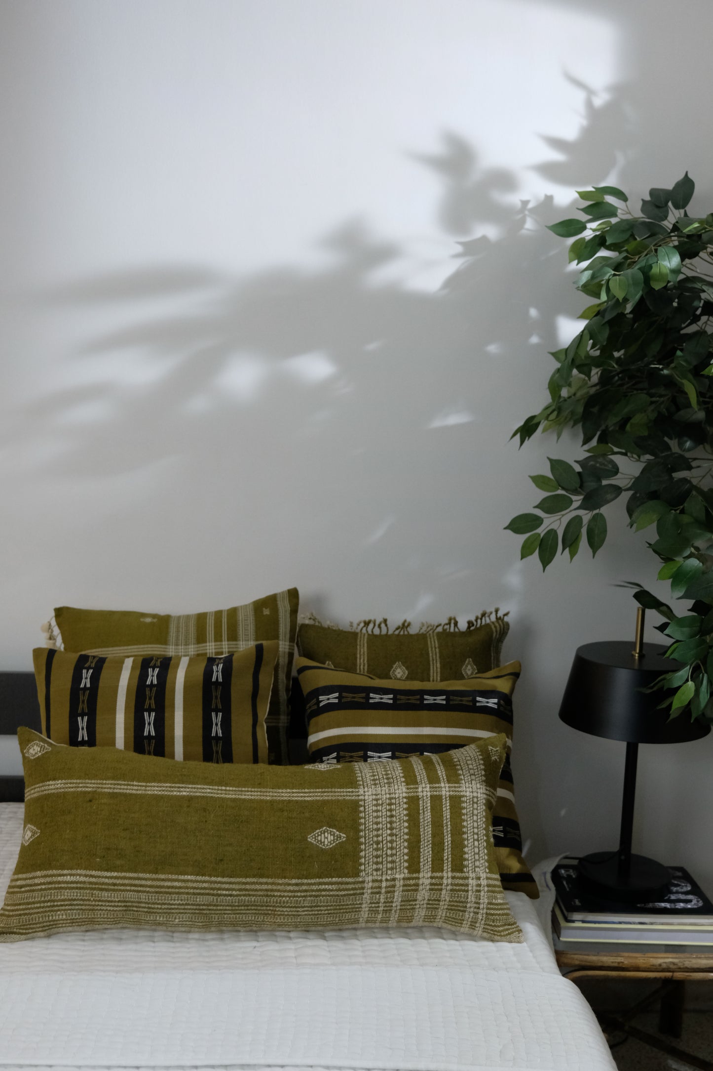 OLIVE LUMBAR