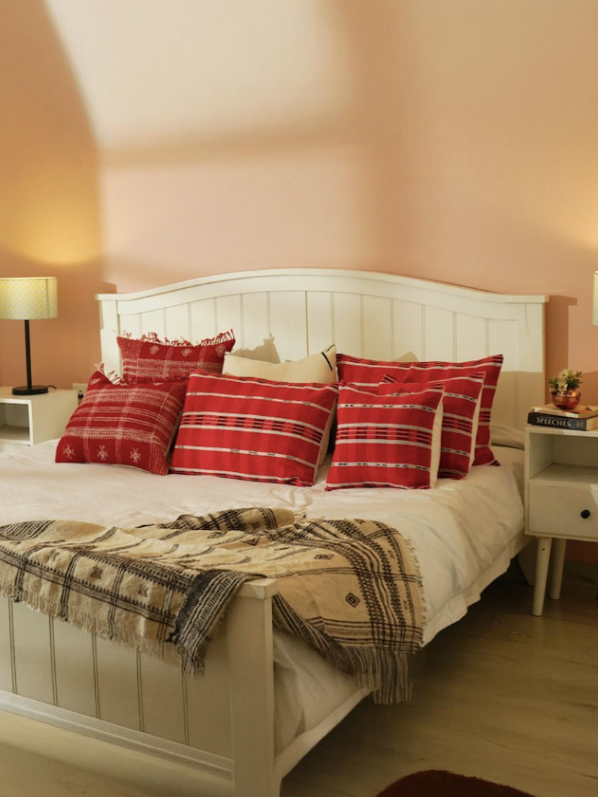 COSMOS CUSHION - RED