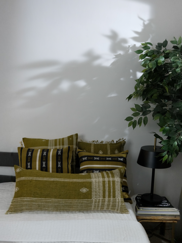 OLIVE LUMBAR