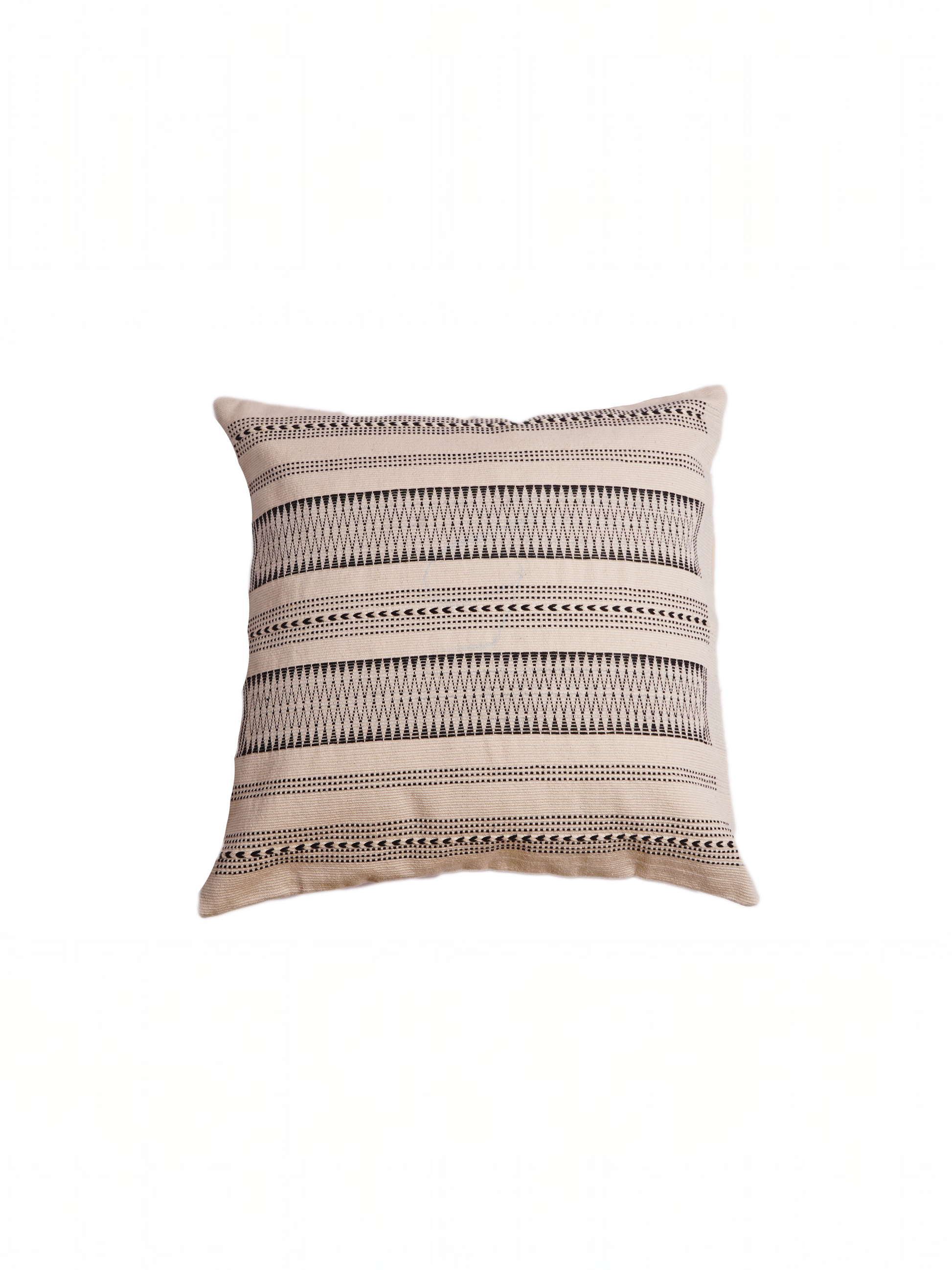 CHHAVI CUSHION - BLACK AND WHITE